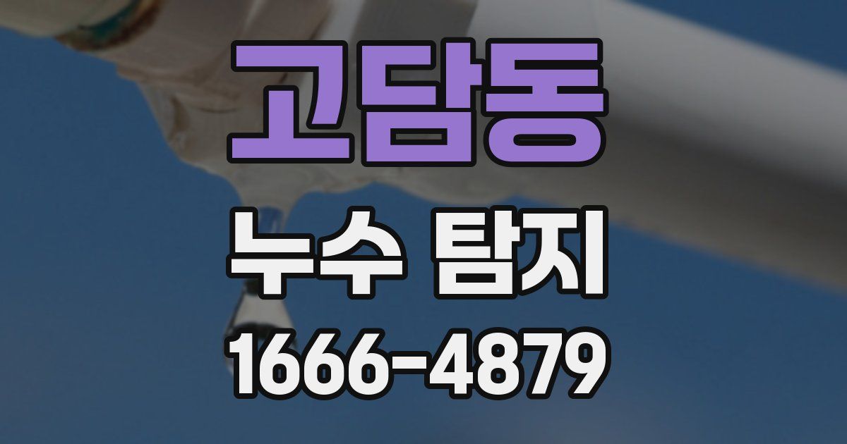 고담동 누수 탐지