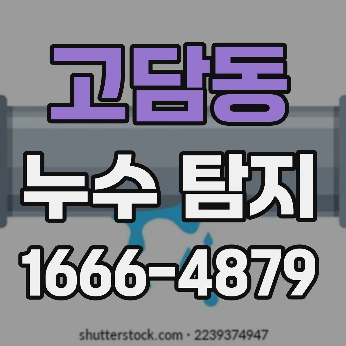 고담동 누수 탐지