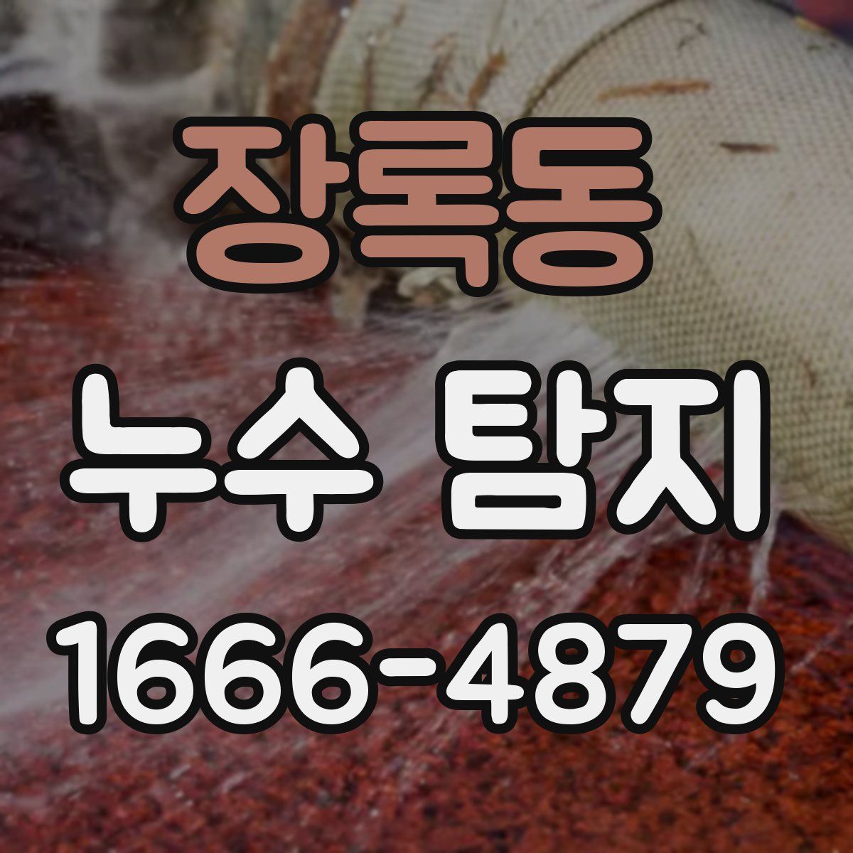 장록동 누수 탐지