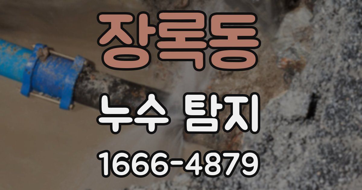 장록동 누수 탐지