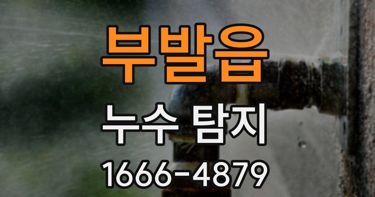 부발읍 누수 탐지