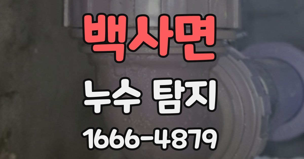 백사면 누수 탐지