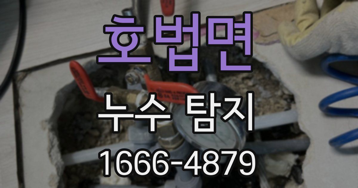 호법면 누수 탐지