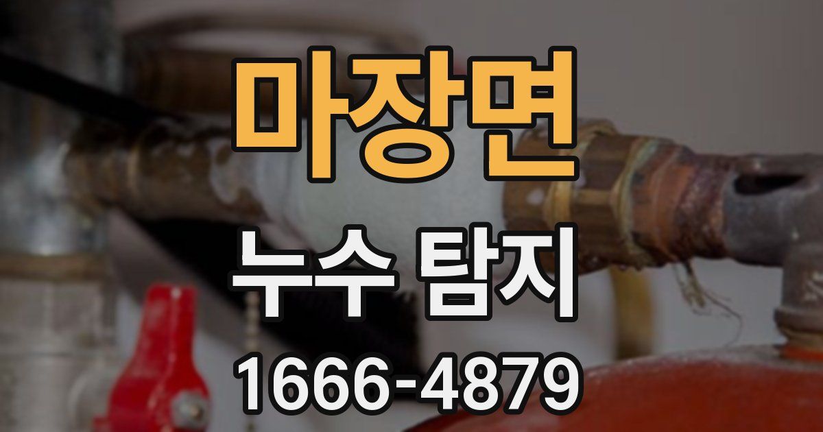 마장면 누수 탐지