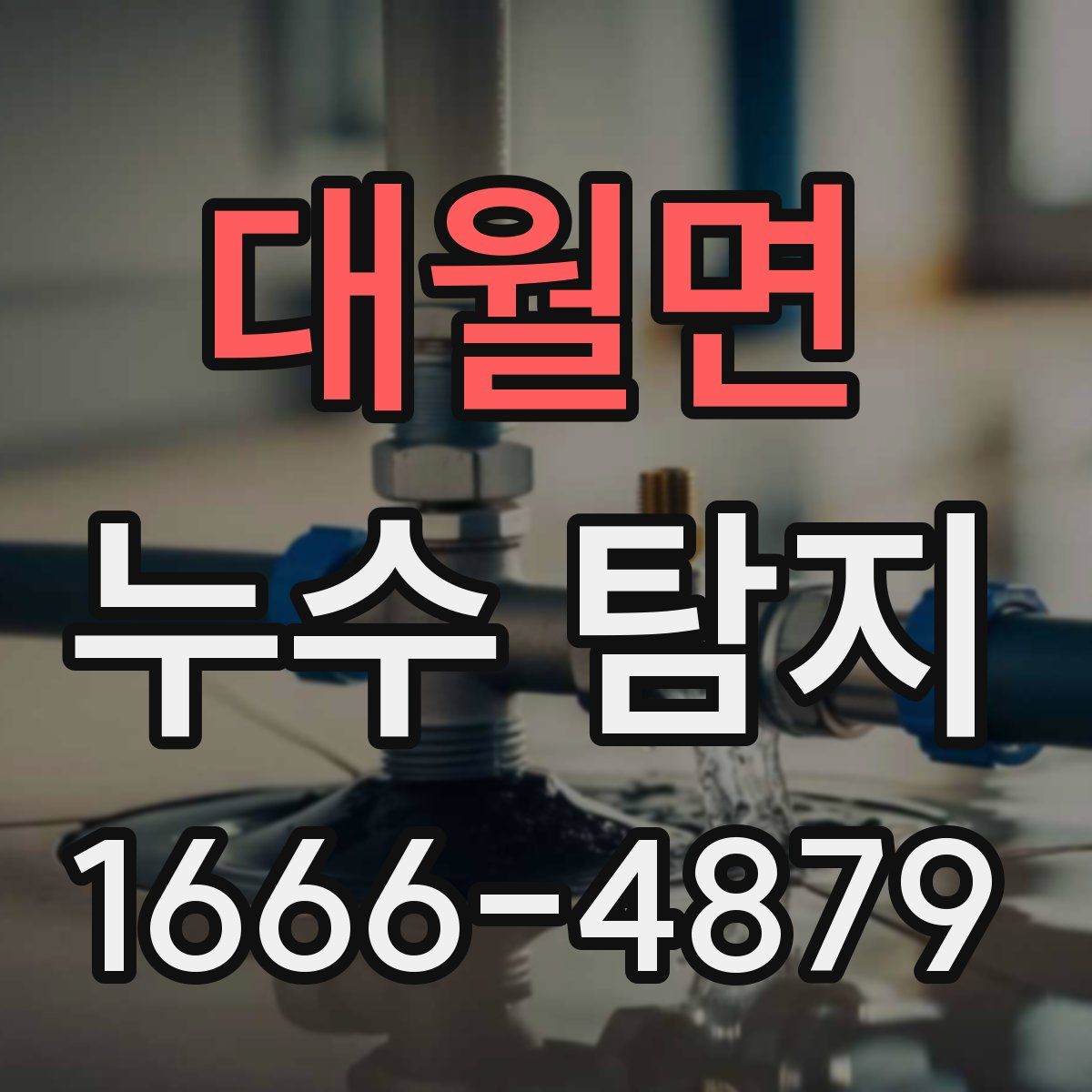 대월면 누수 탐지