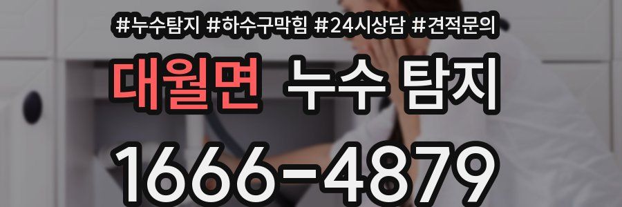 대월면 누수 탐지