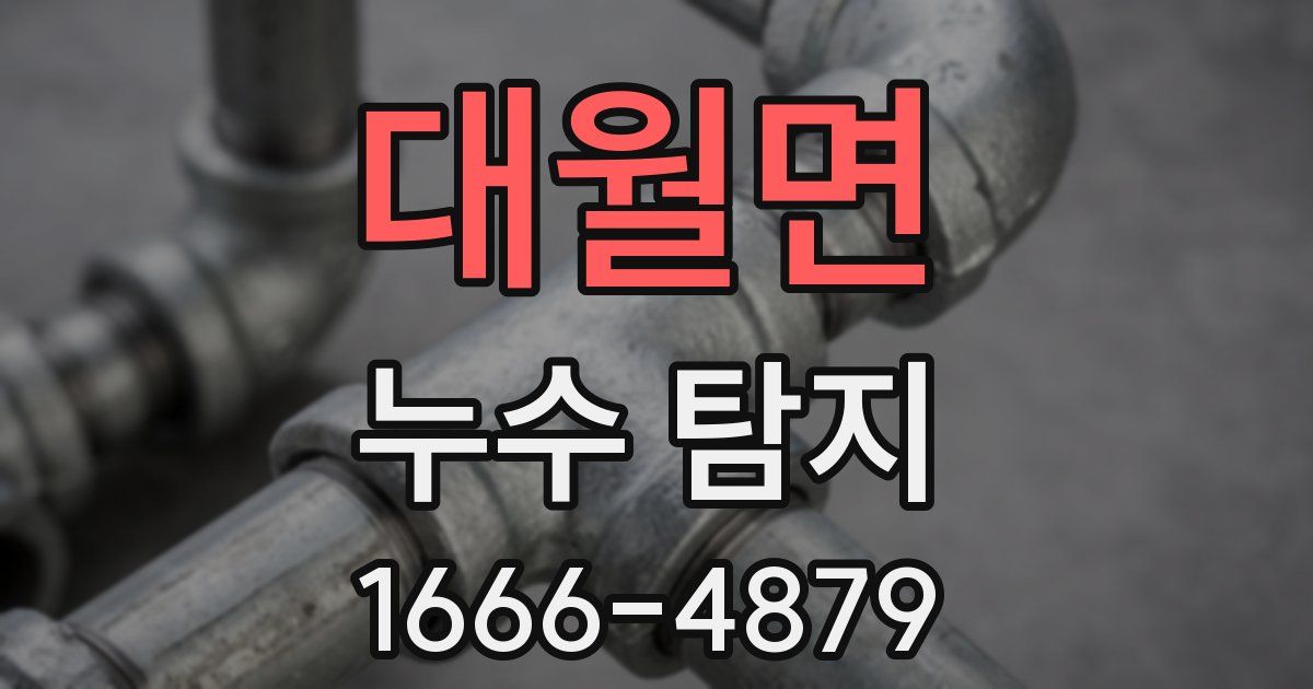 대월면 누수 탐지