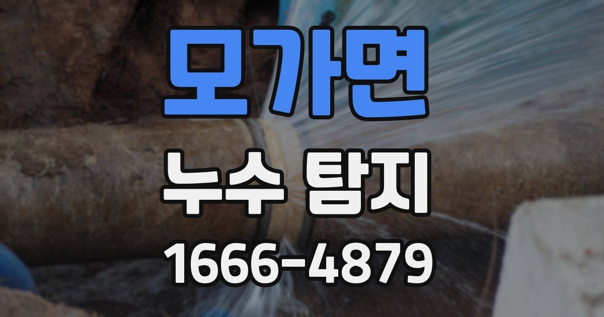모가면 누수 탐지