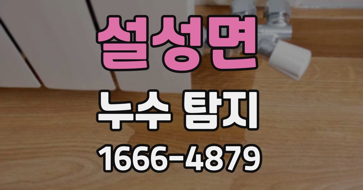설성면 누수 탐지