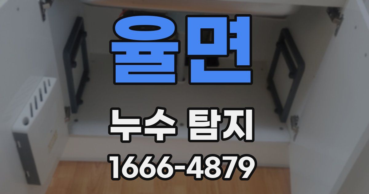 율면 누수 탐지