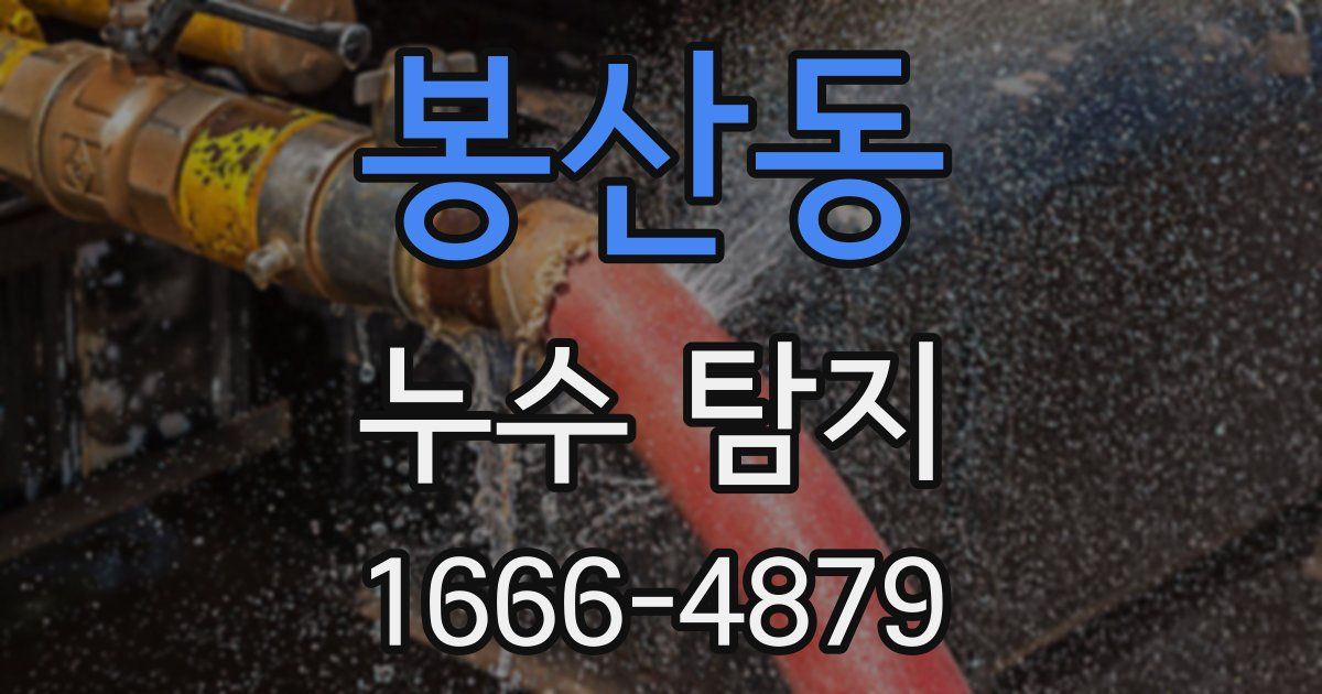 봉산동 누수 탐지