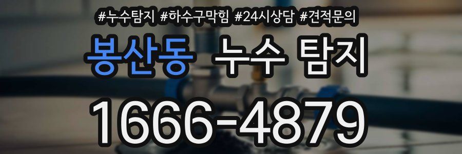 봉산동 누수 탐지