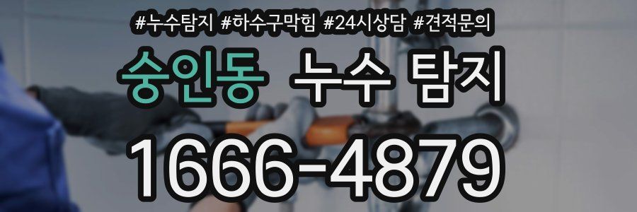 숭인동 누수 탐지