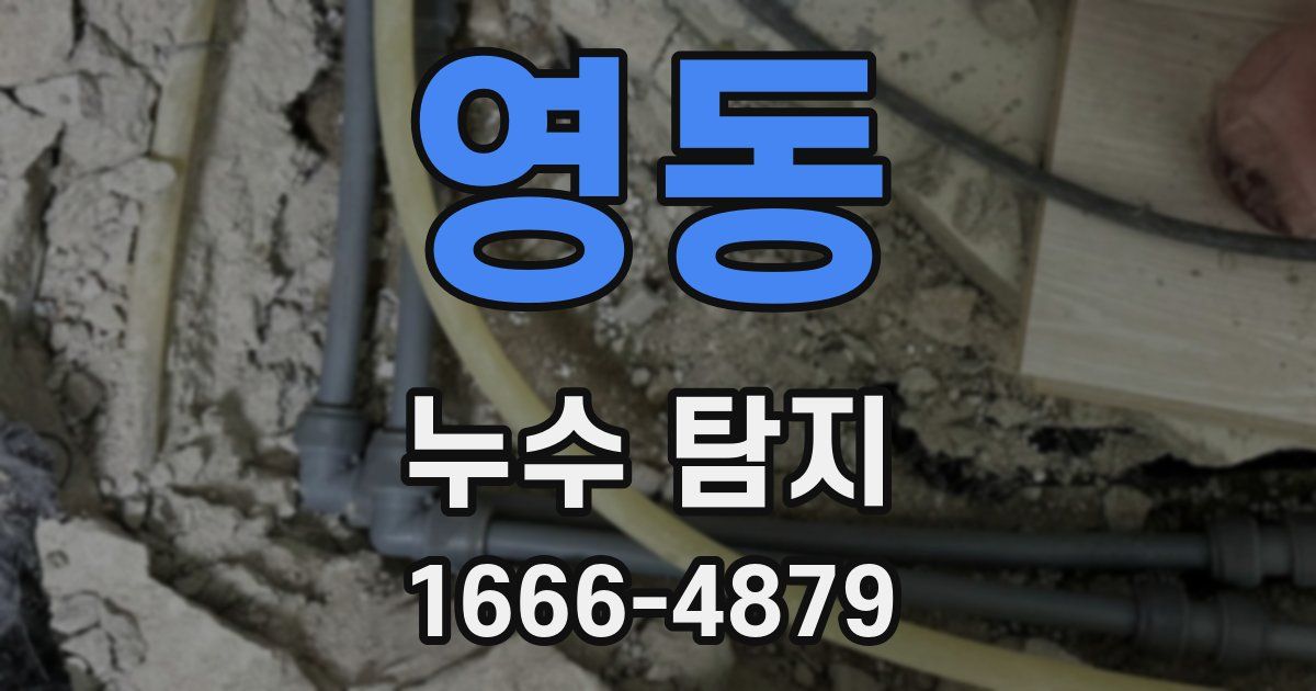 영동 누수 탐지
