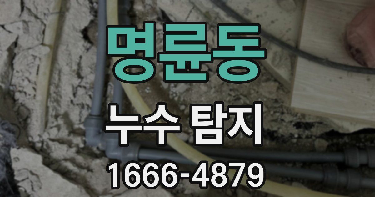 명륜동 누수 탐지