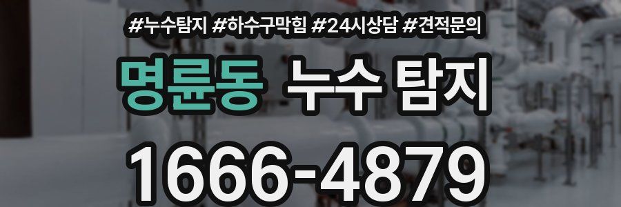 명륜동 누수 탐지