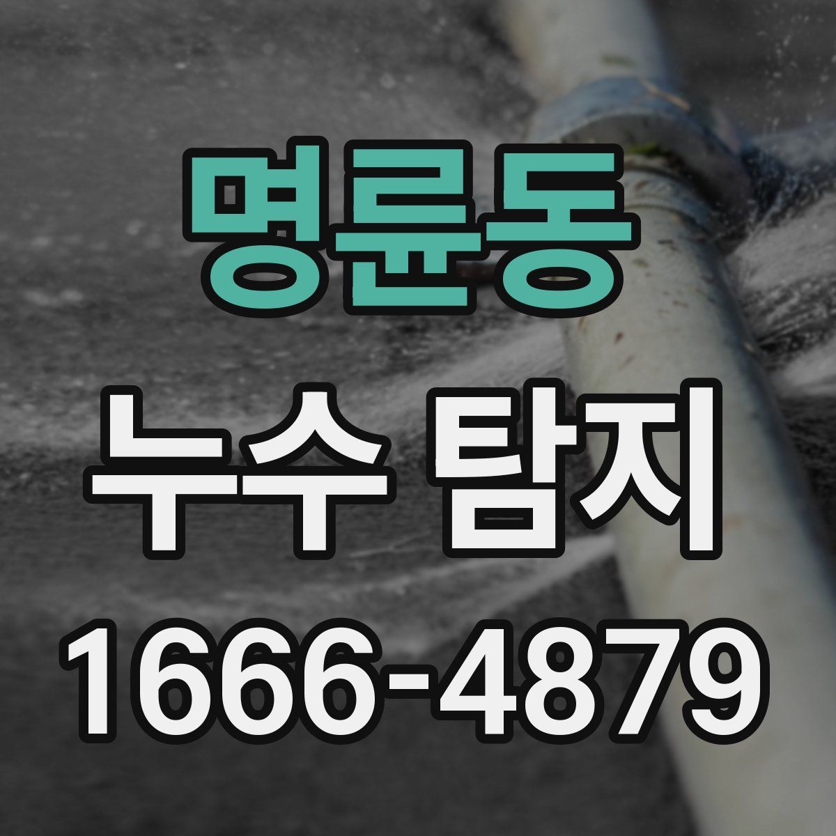명륜동 누수 탐지