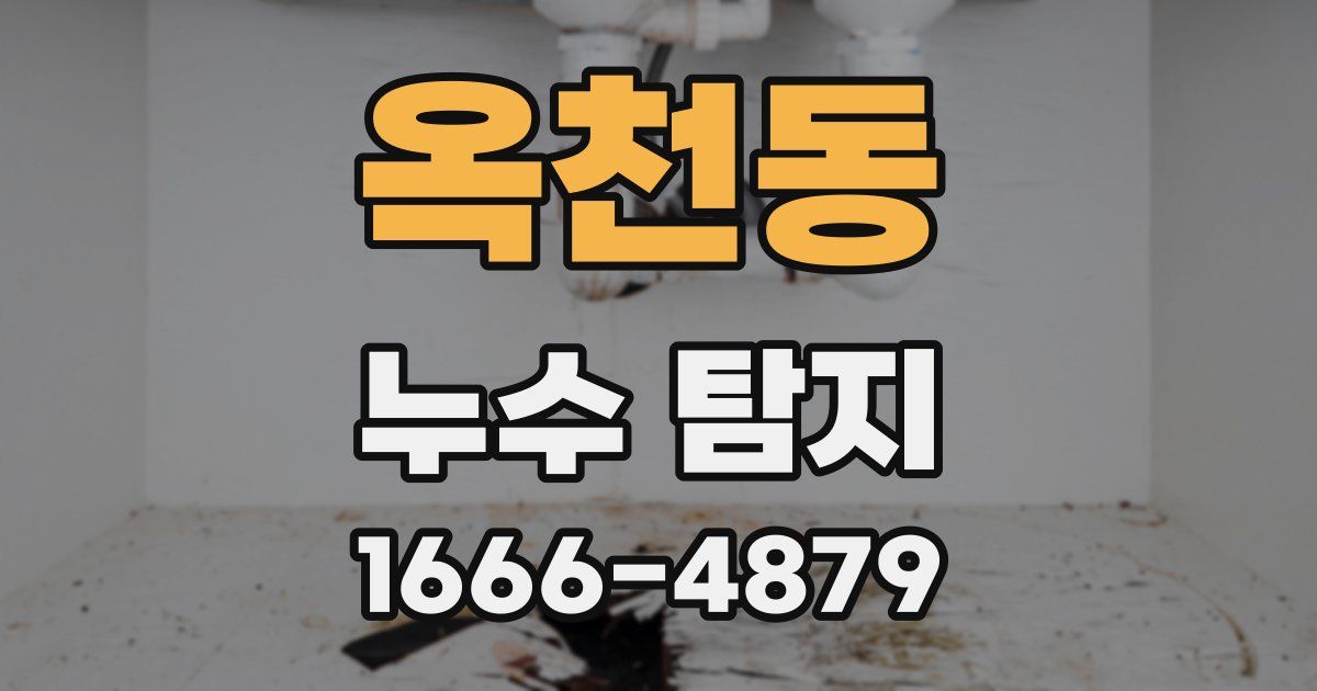 옥천동 누수 탐지