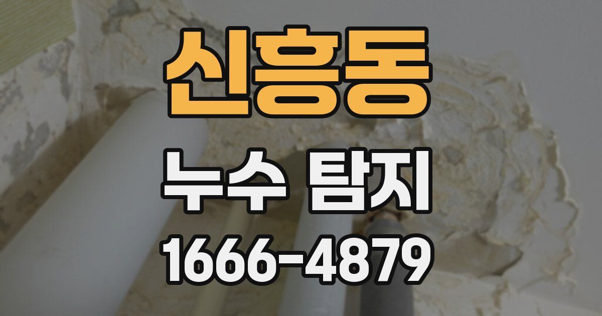 신흥동 누수 탐지