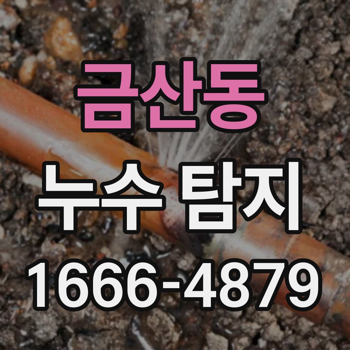 금산동 누수 탐지