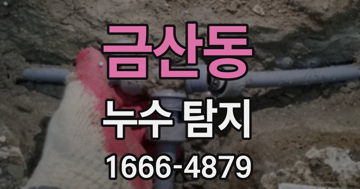 금산동 누수 탐지