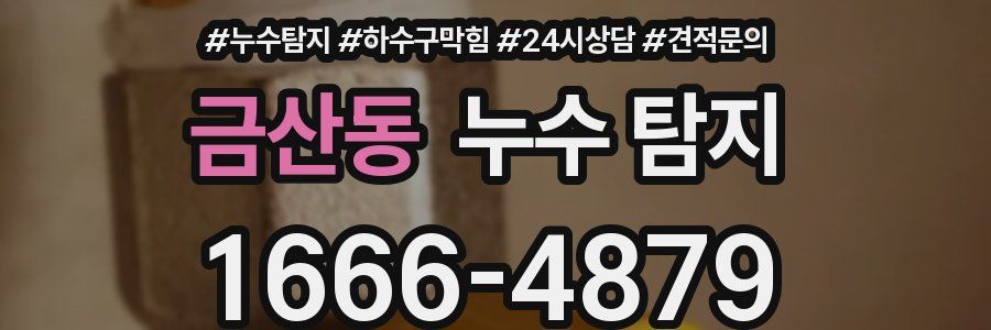 금산동 누수 탐지