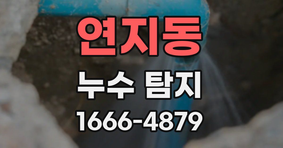 연지동 누수 탐지