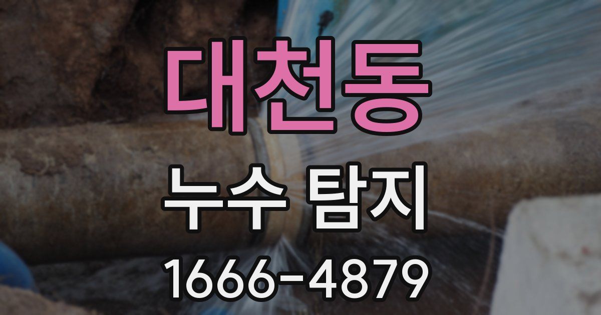 대천동 누수 탐지