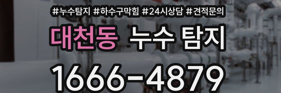 대천동 누수 탐지