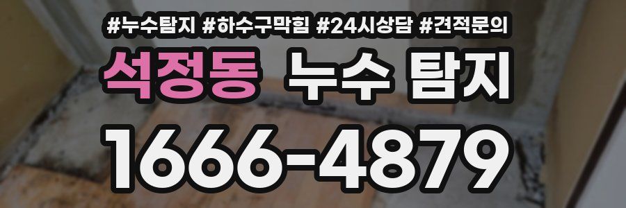 석정동 누수 탐지