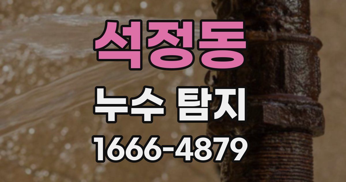 석정동 누수 탐지