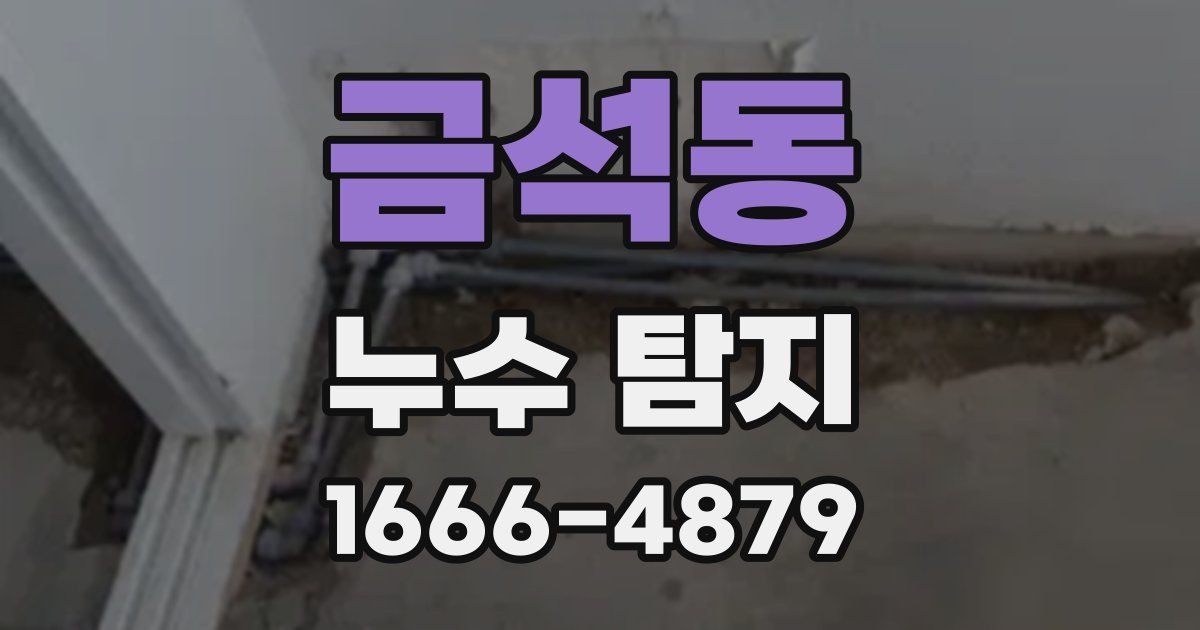 금석동 누수 탐지