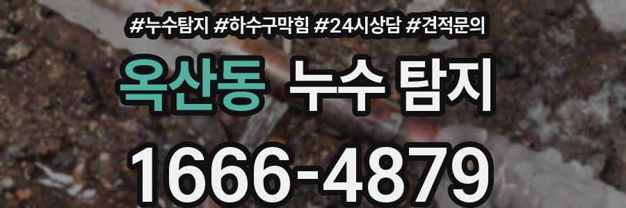 옥산동 누수 탐지
