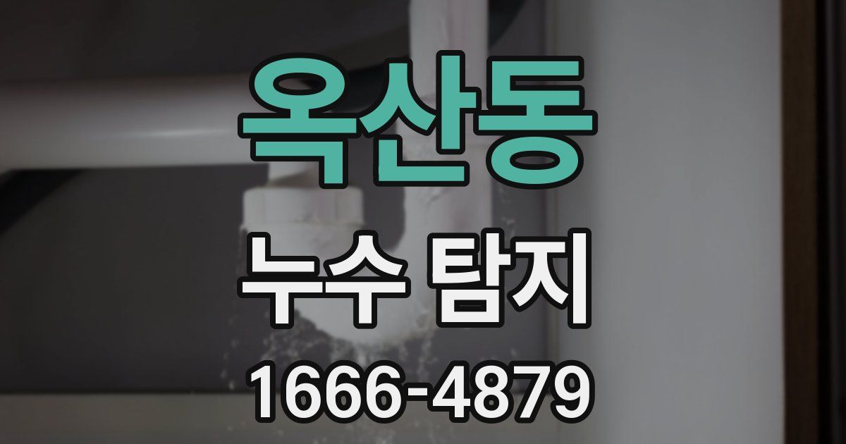 옥산동 누수 탐지