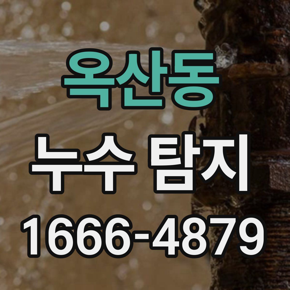 옥산동 누수 탐지