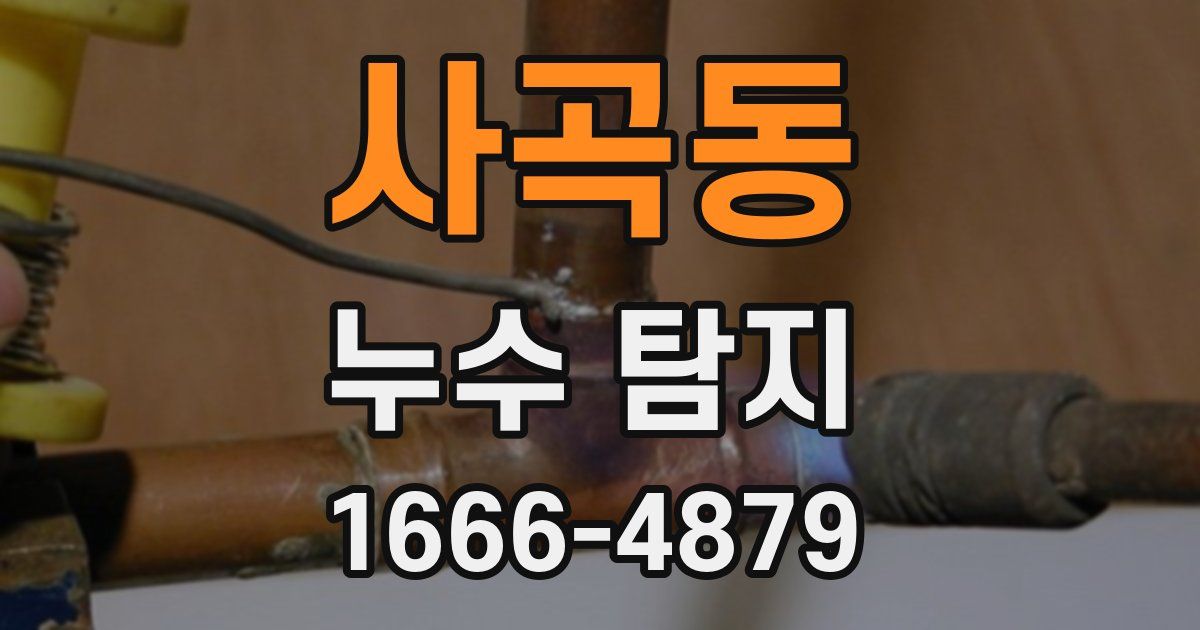 사곡동 누수 탐지