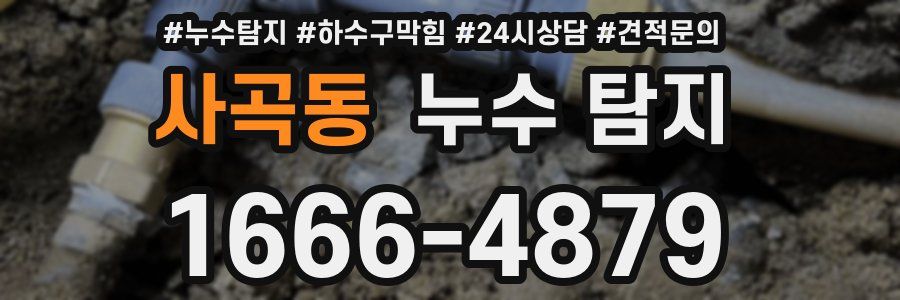 사곡동 누수 탐지
