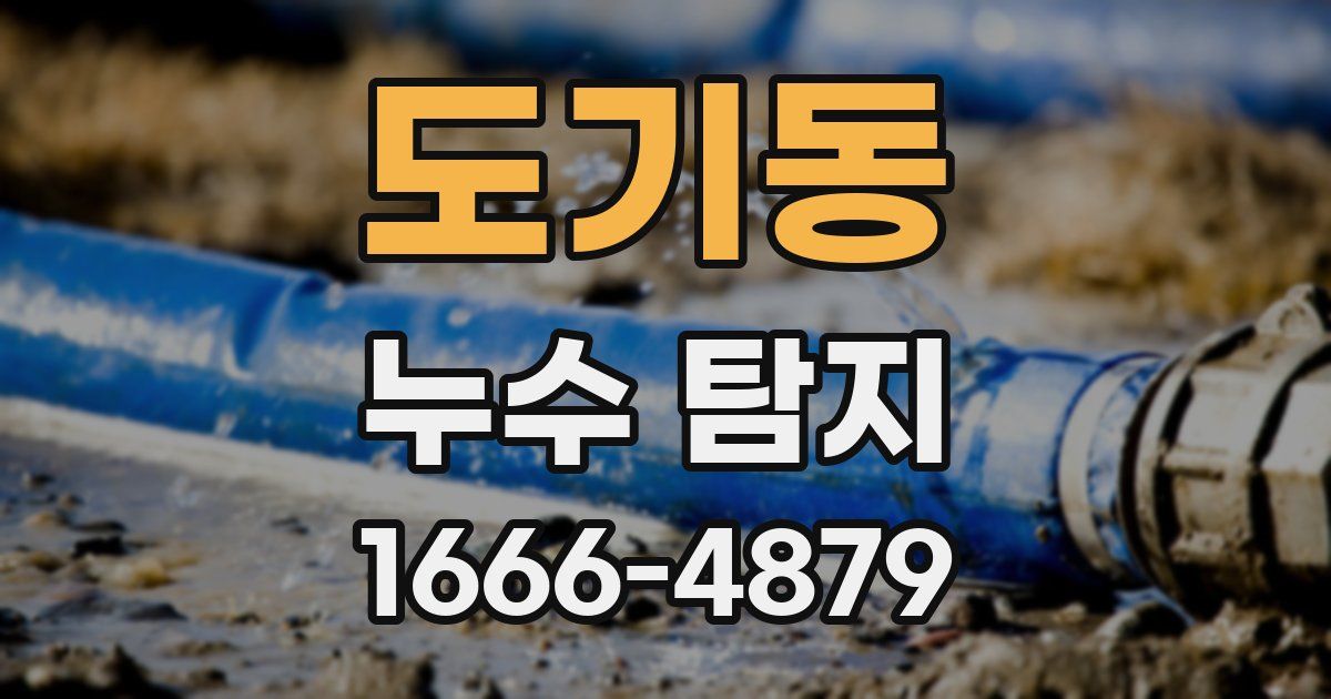 도기동 누수 탐지