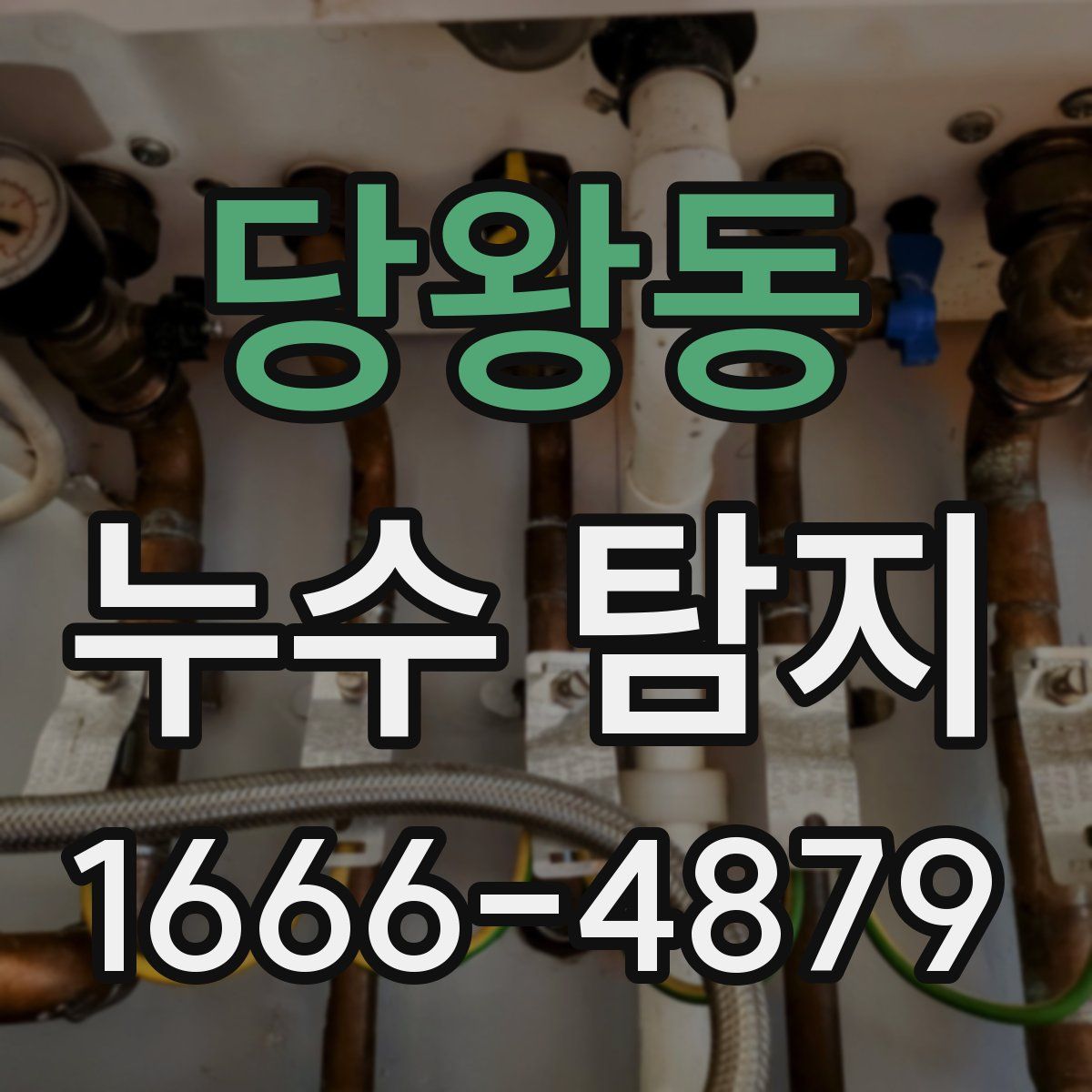 당왕동 누수 탐지