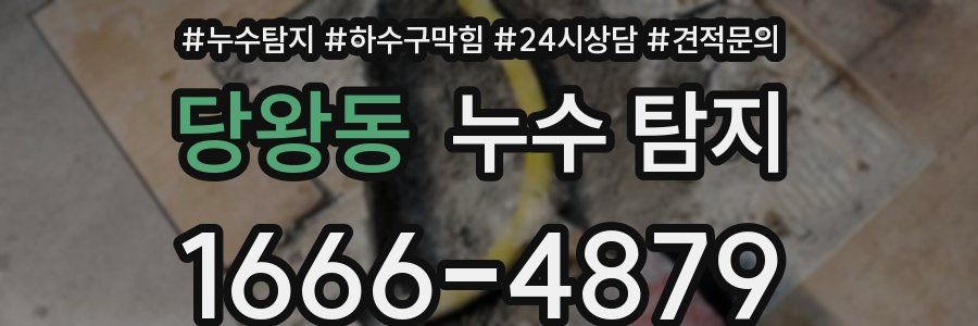 당왕동 누수 탐지