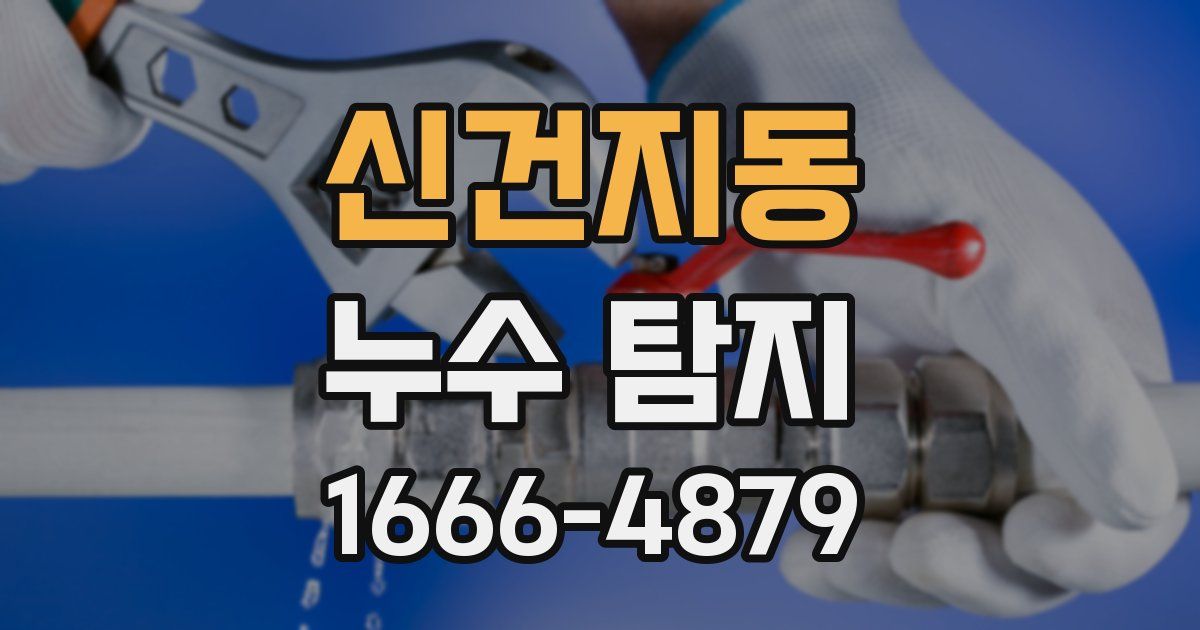신건지동 누수 탐지