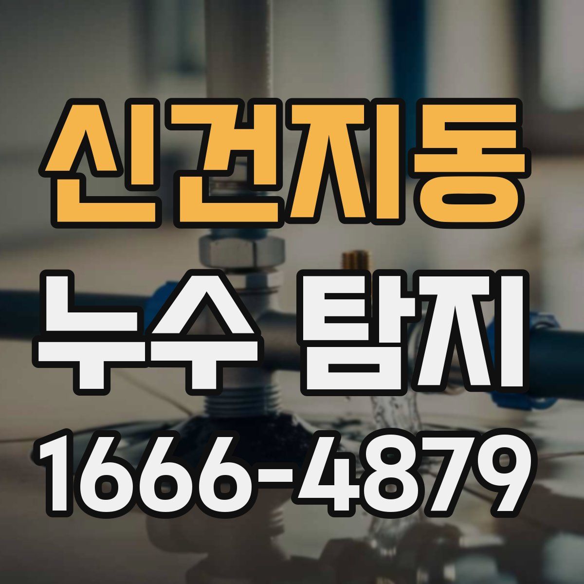 신건지동 누수 탐지