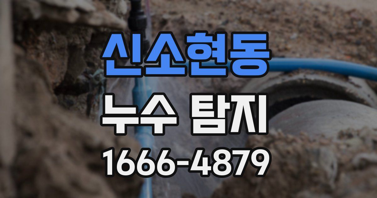 신소현동 누수 탐지