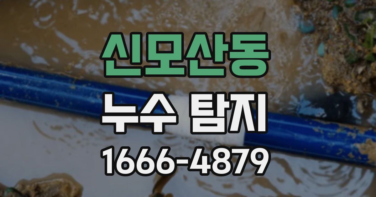 신모산동 누수 탐지