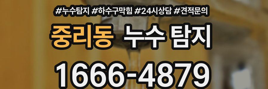 중리동 누수 탐지