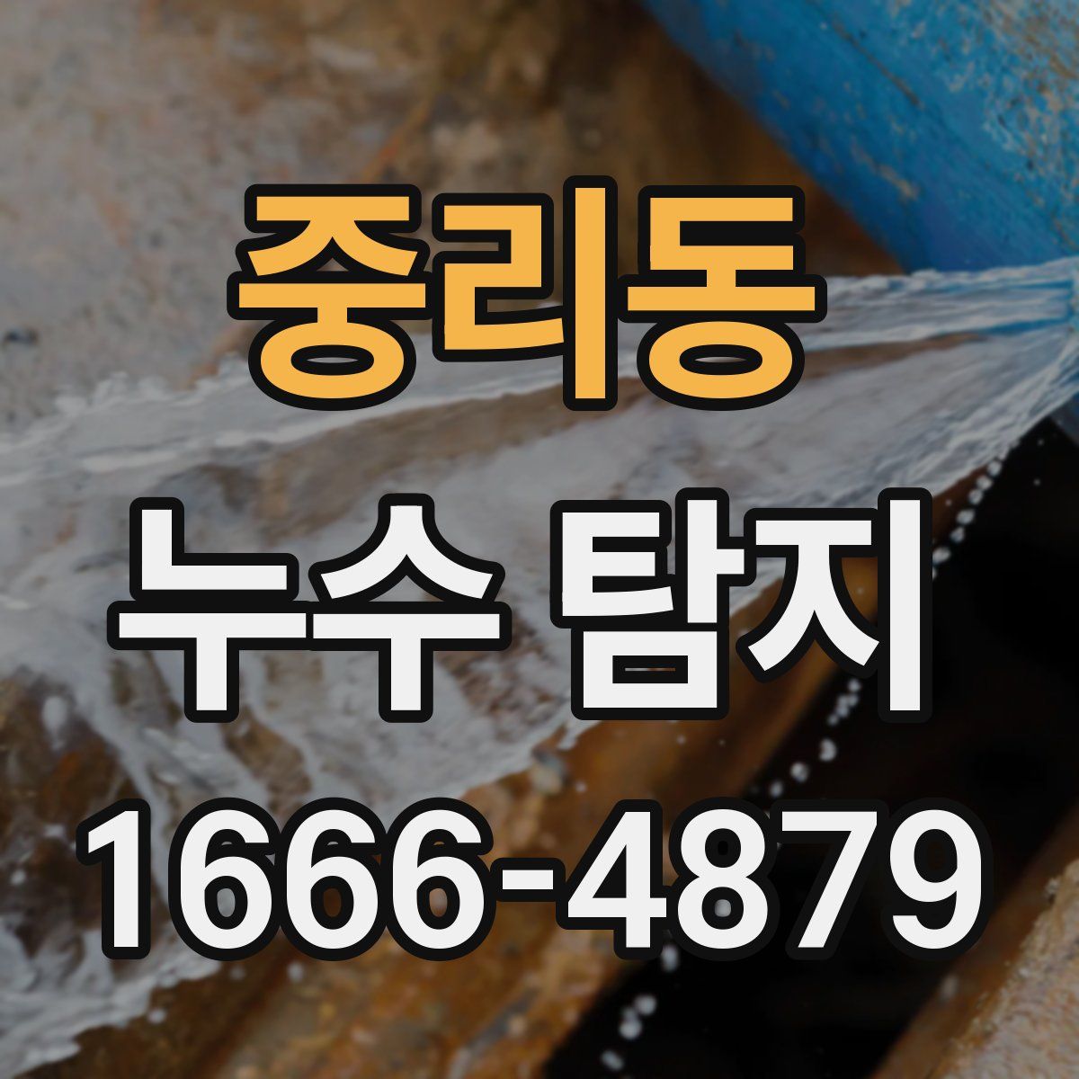 중리동 누수 탐지