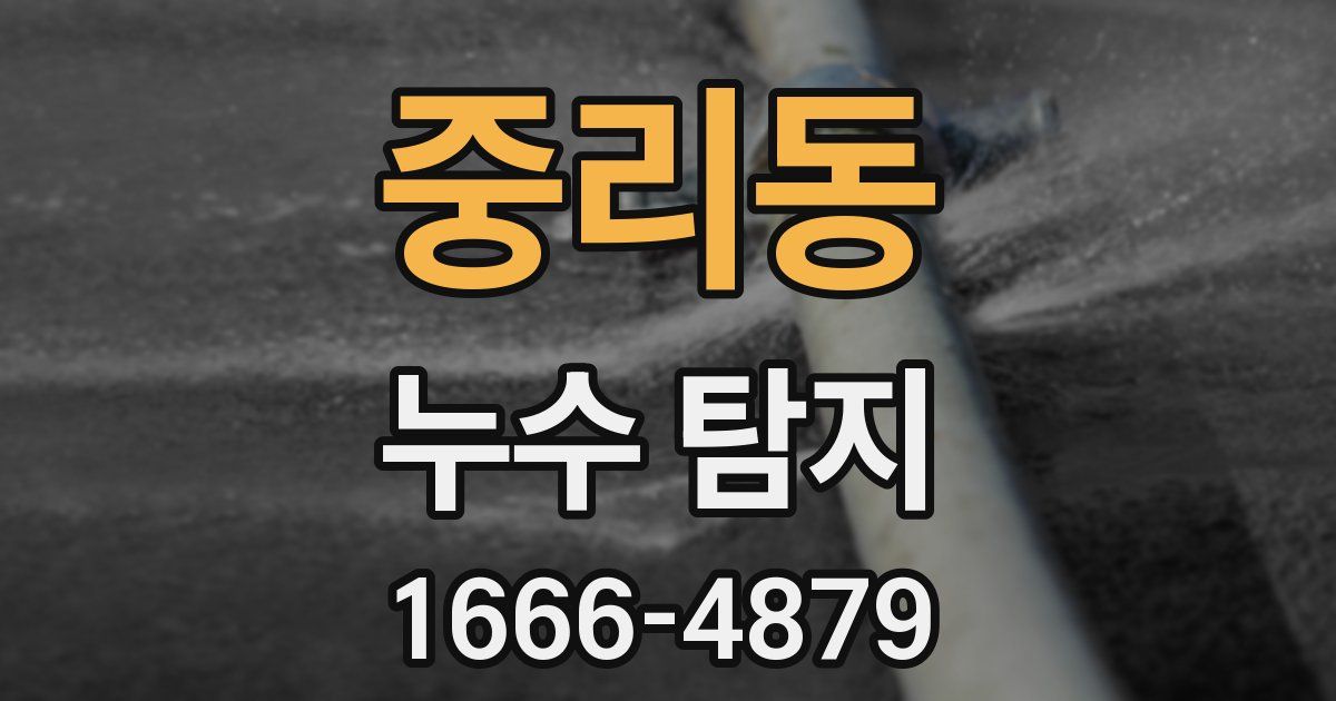 중리동 누수 탐지