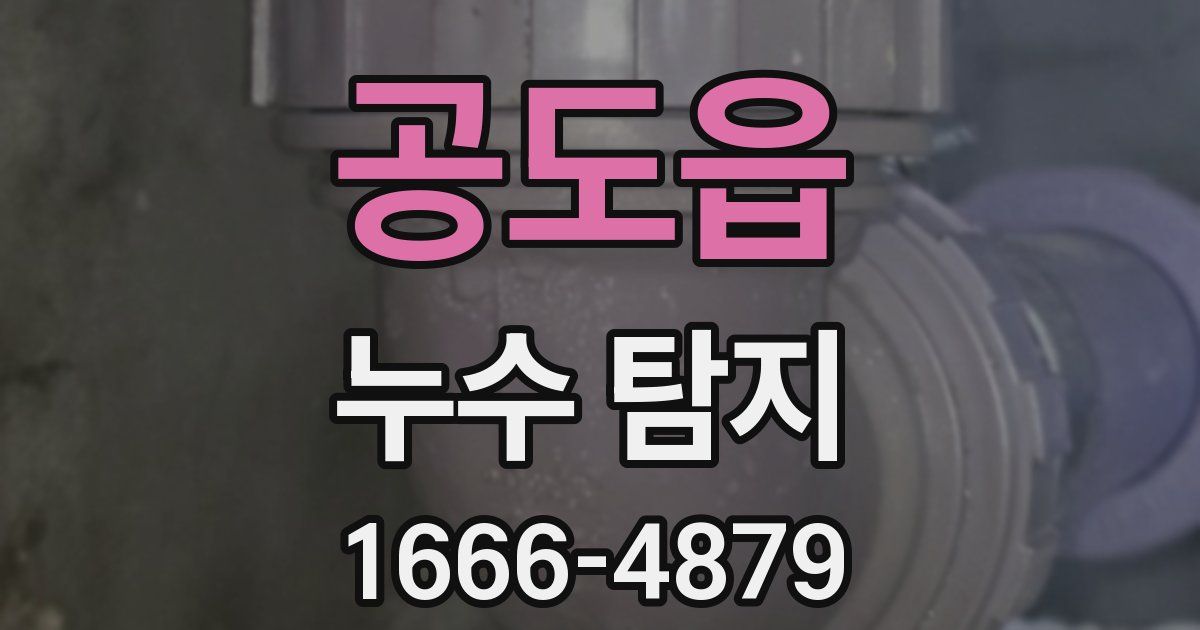 공도읍 누수 탐지