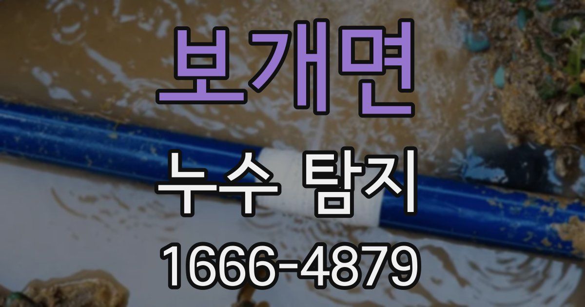 보개면 누수 탐지