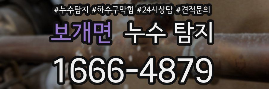 보개면 누수 탐지